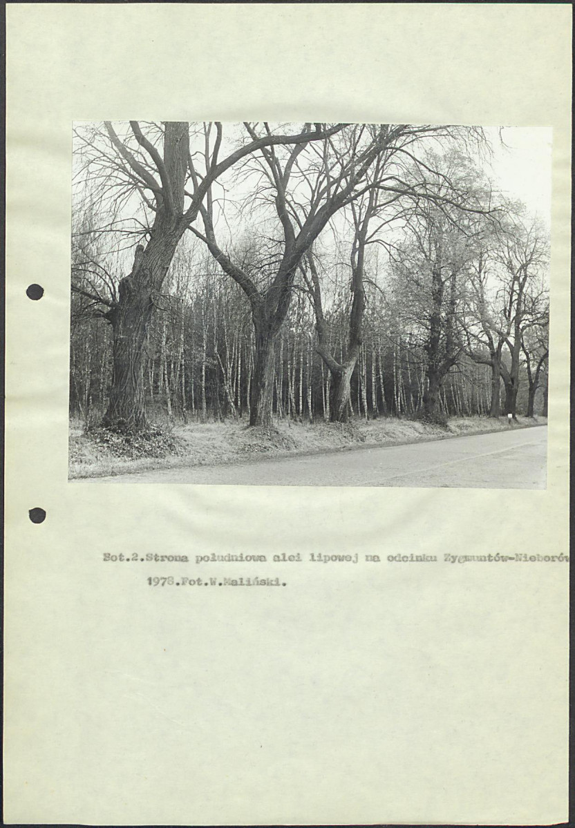 EP - Ewidencja parkowa, skan nr 15