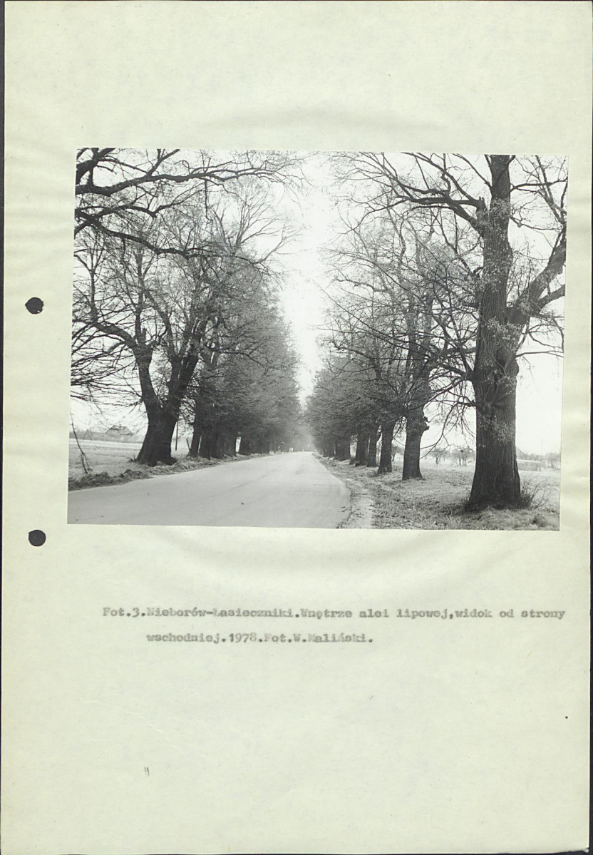 EP - Ewidencja parkowa, skan nr 16