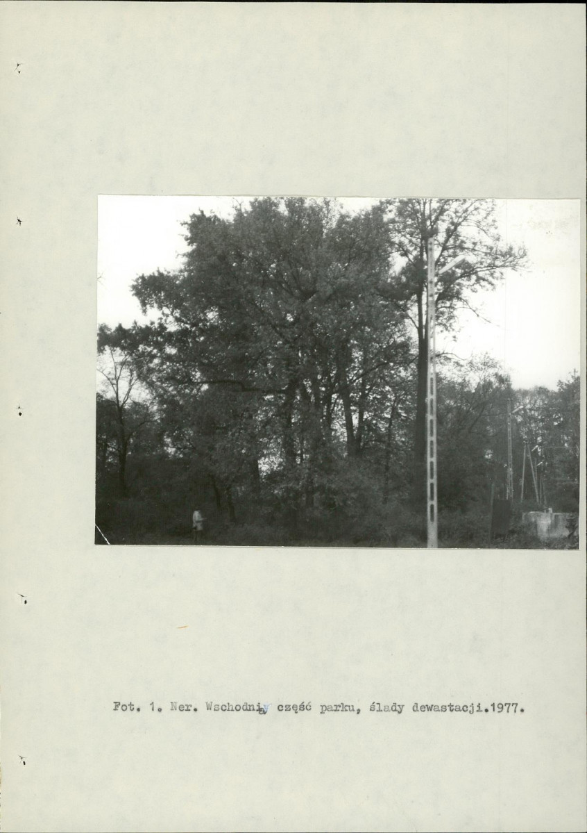 Ewidencja parkowa, skan nr 11