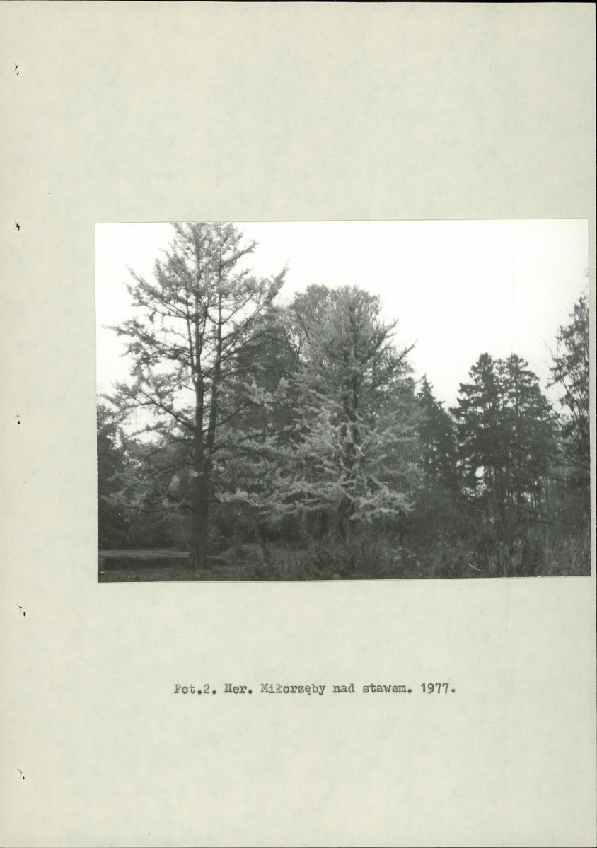 Ewidencja parkowa, skan nr 12