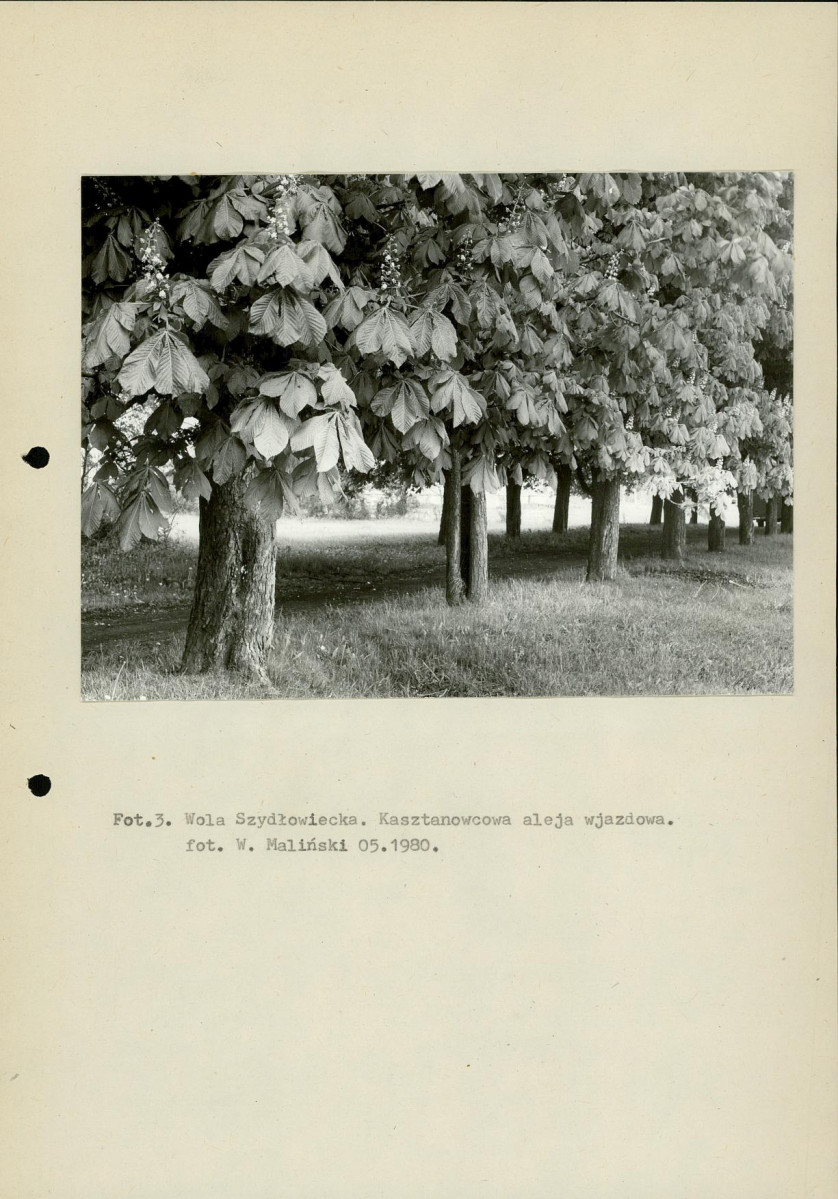 Ewidencja parkowa, skan nr 13