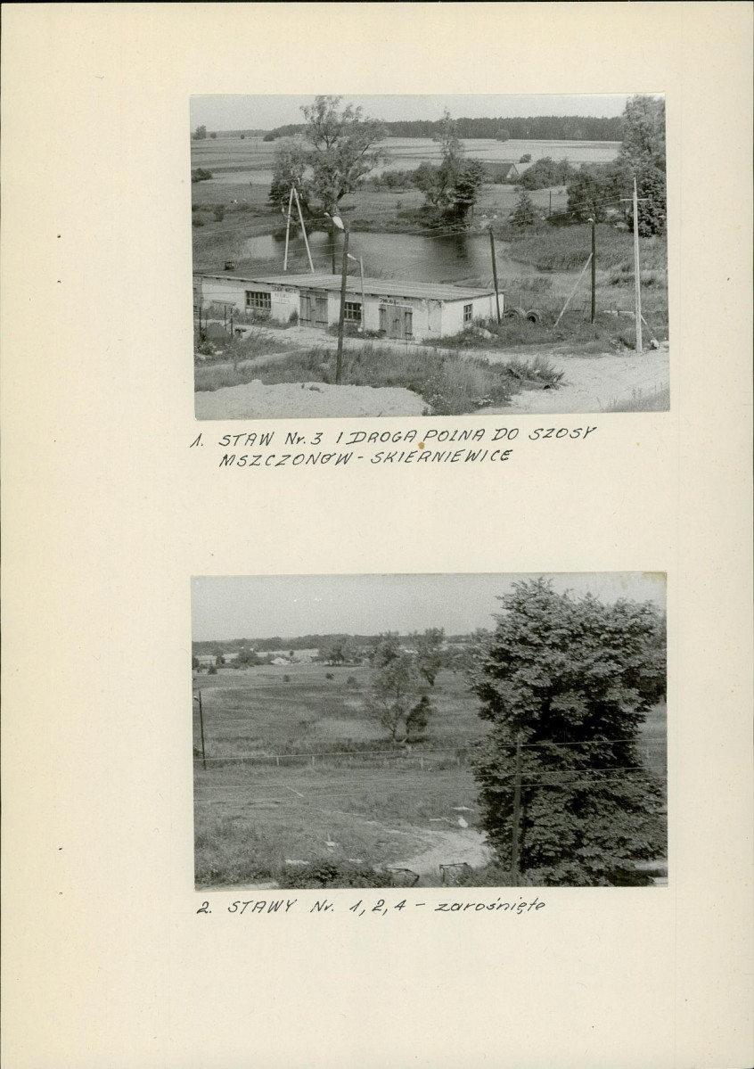 Ewidencja parkowa, skan nr 11