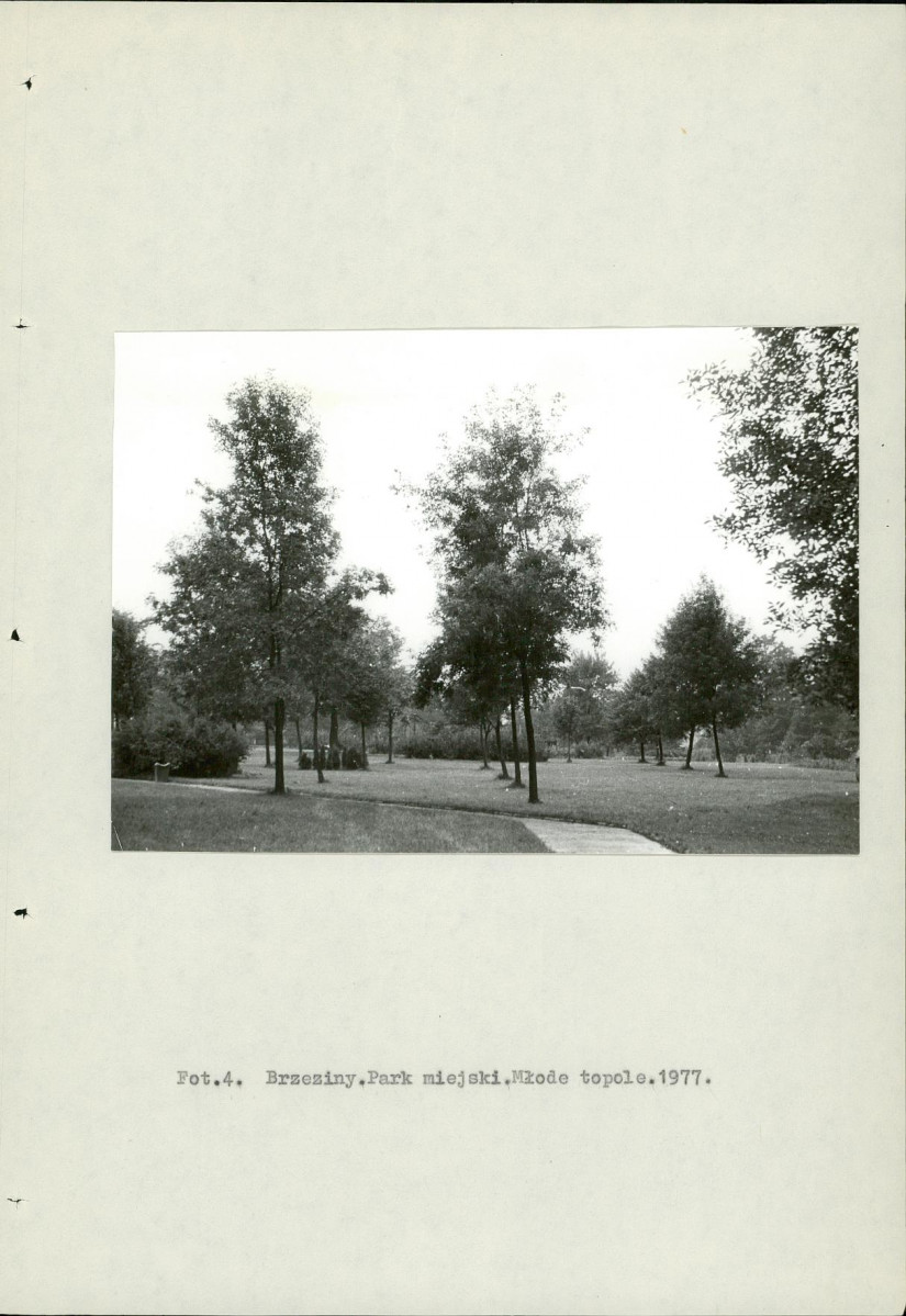 Ewidencja parkowa, skan nr 14