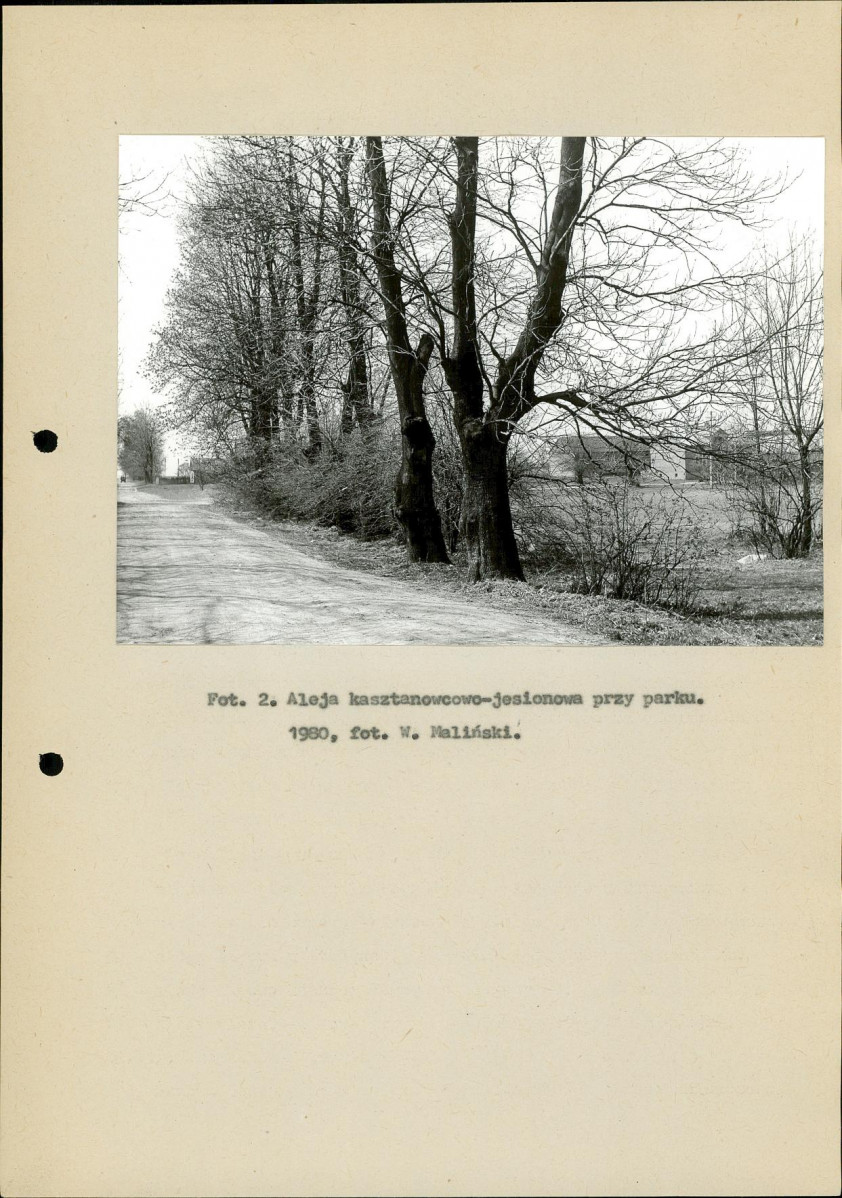 Ewidencja parkowa, skan nr 13