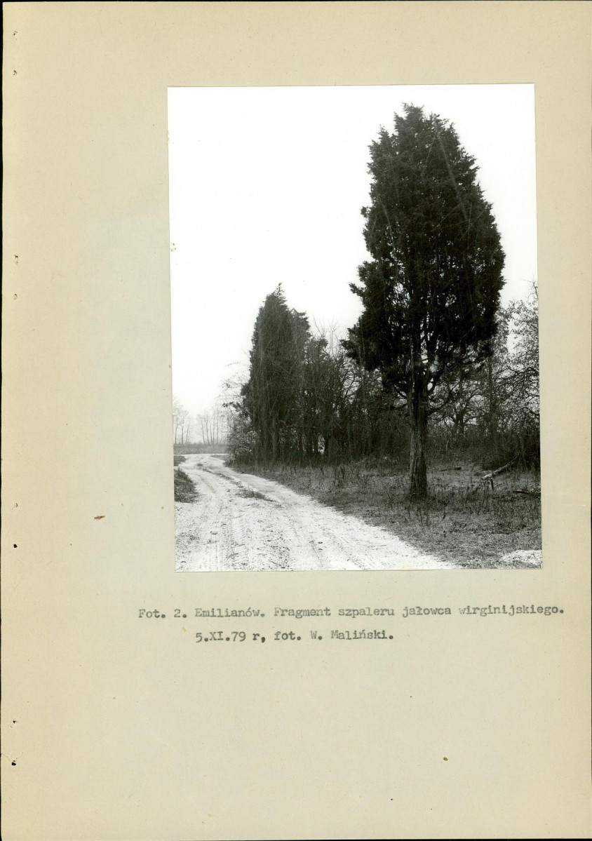 Ewidencja parkowa, skan nr 15