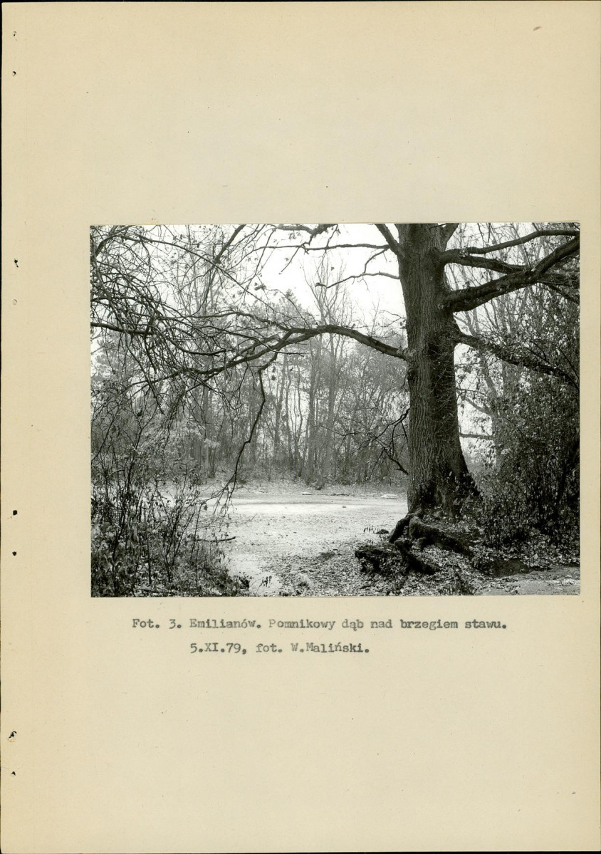 Ewidencja parkowa, skan nr 16