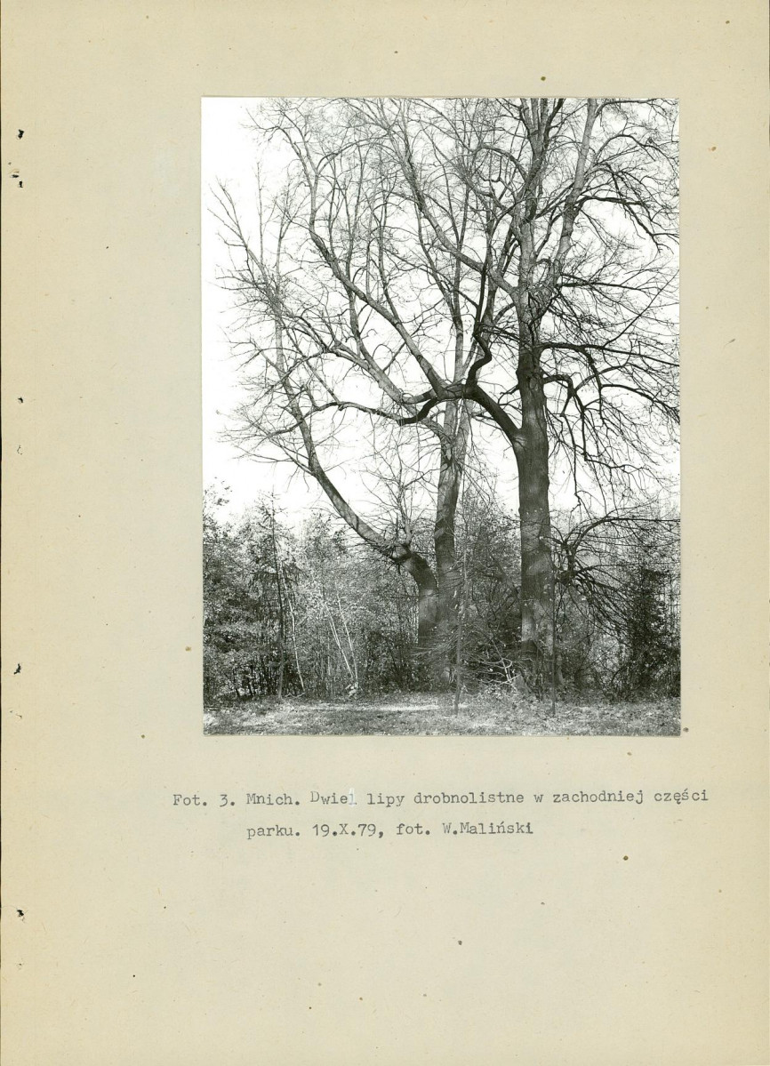 Ewidencja parkowa, skan nr 15