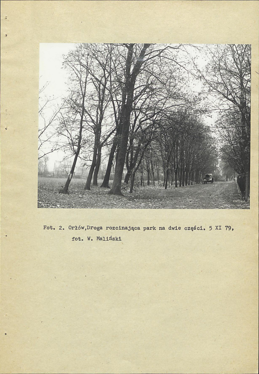 Ewidencja parkowa, skan nr 13