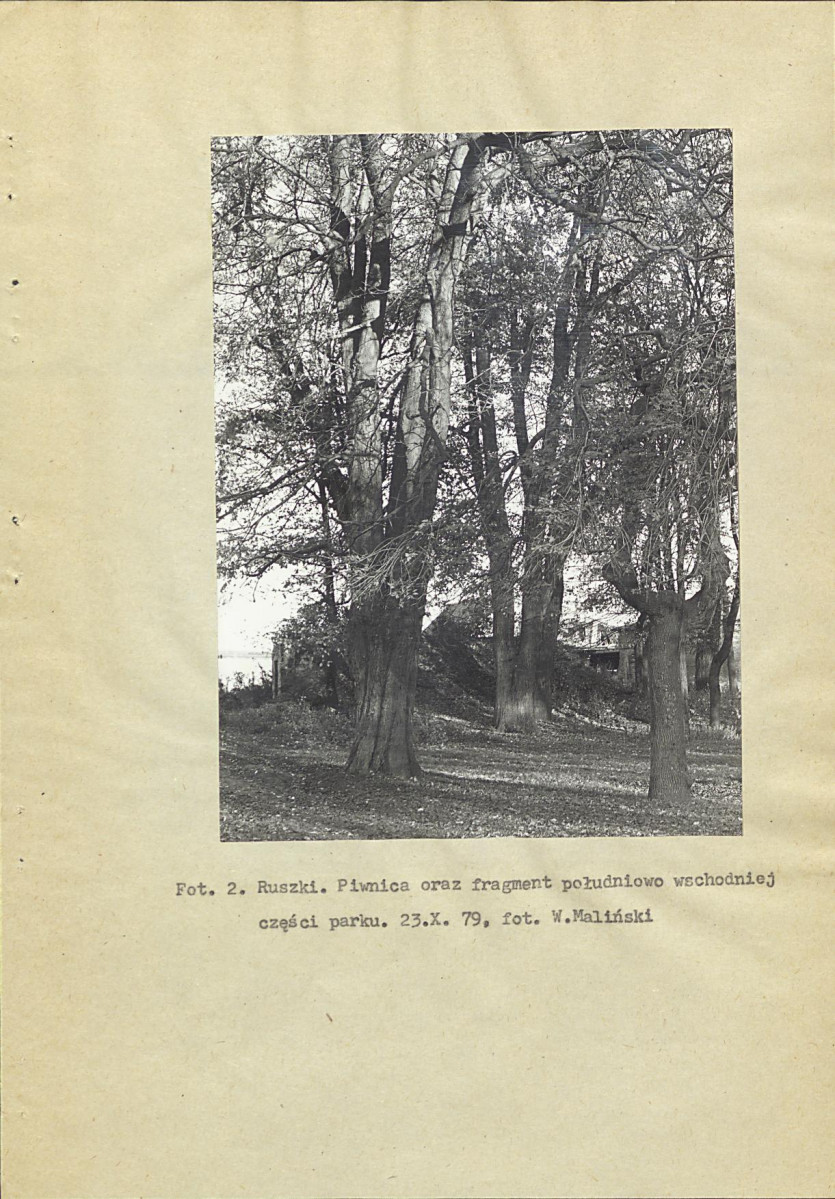 Ewidencja parkowa, skan nr 12
