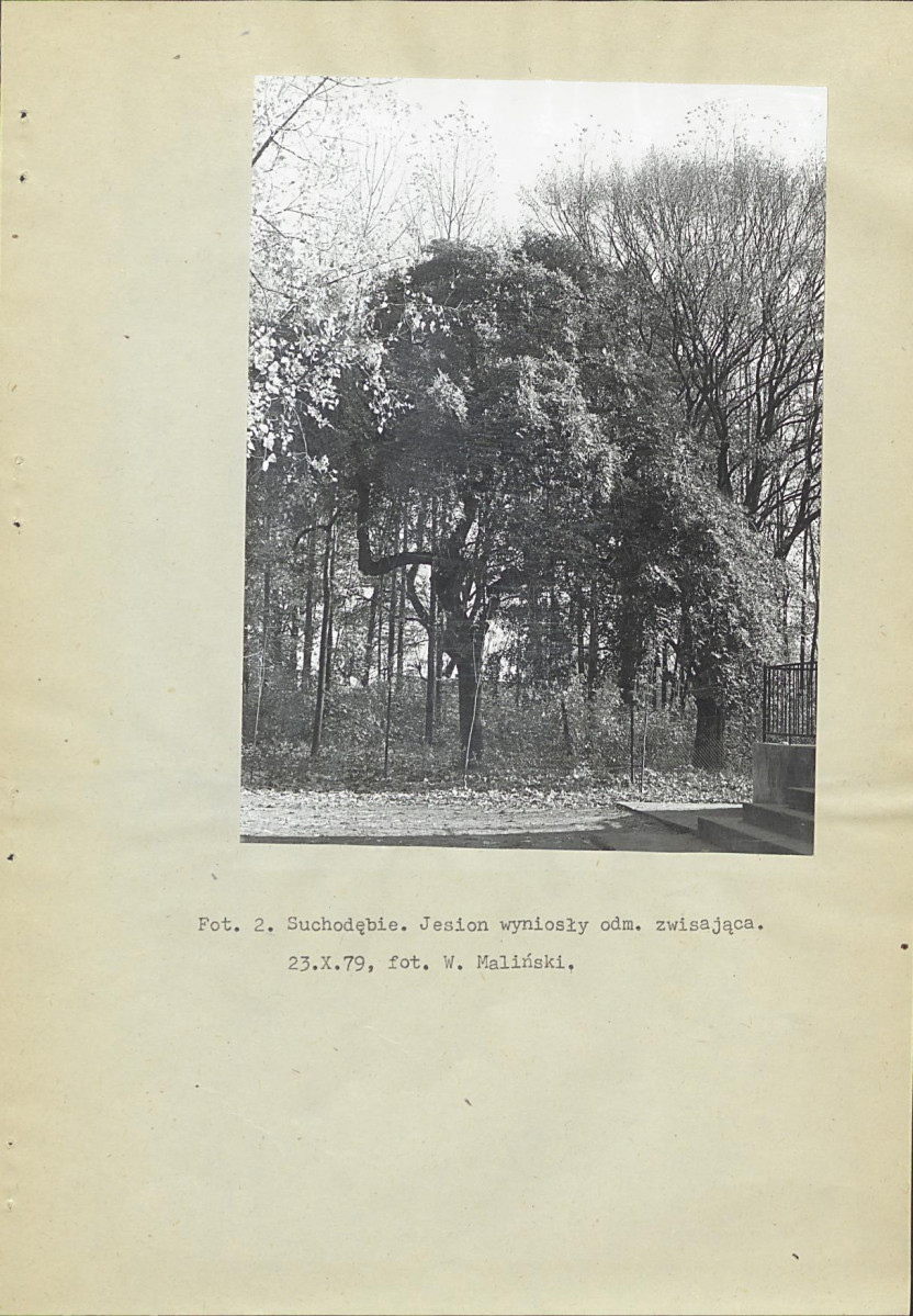 Ewidencja parkowa, skan nr 15