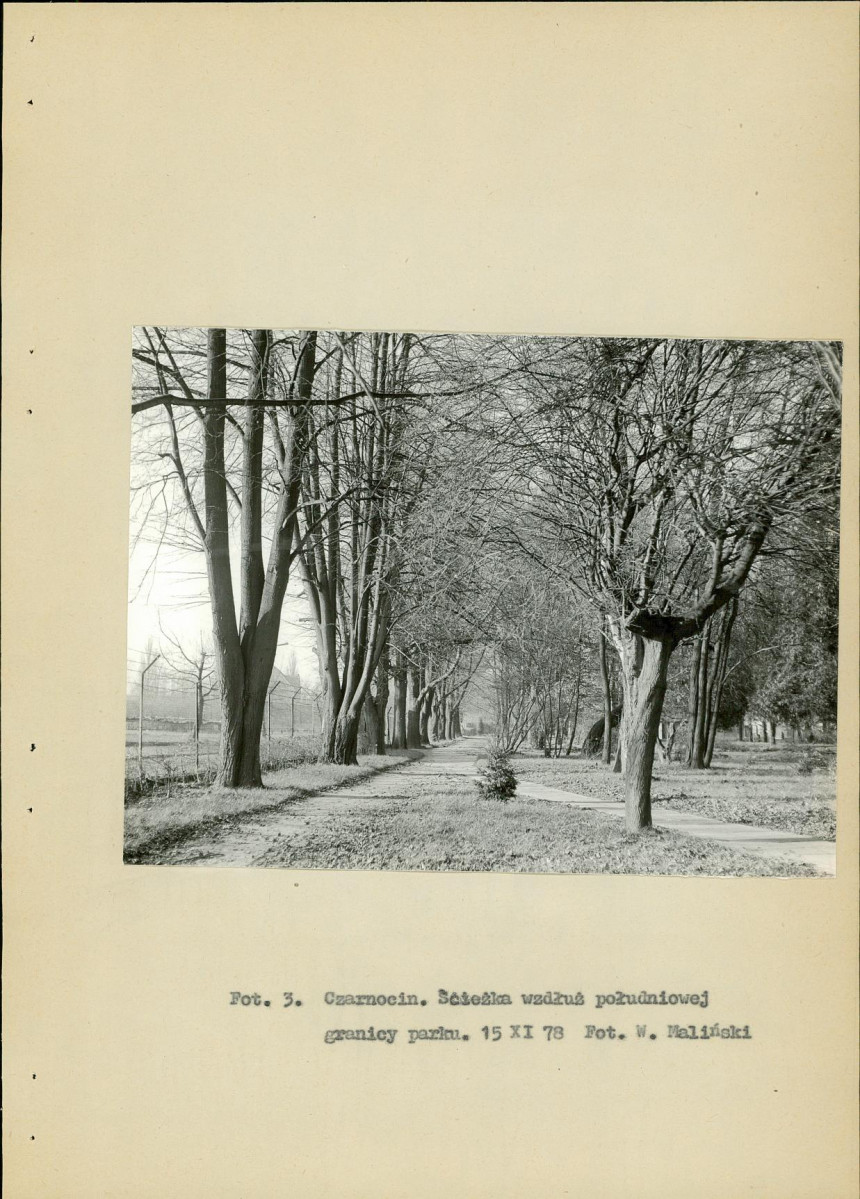 Ewidencja parkowa, skan nr 13