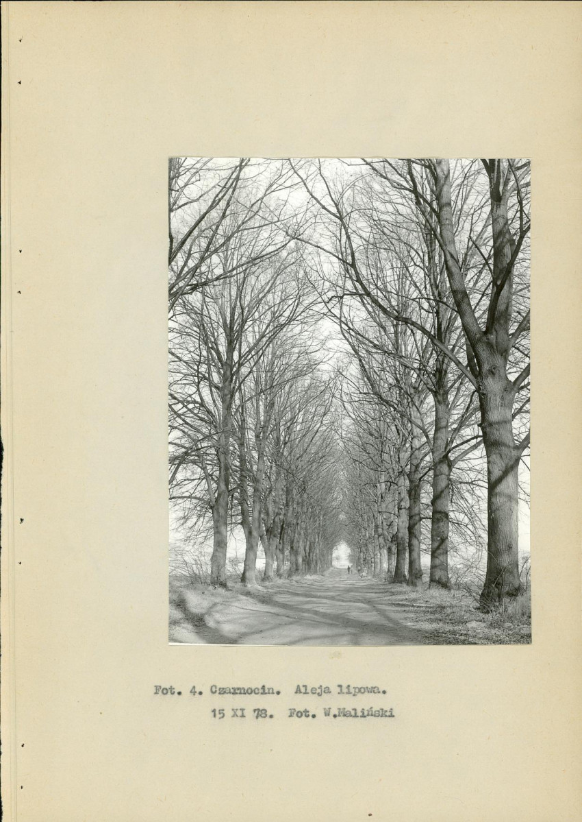 Ewidencja parkowa, skan nr 14
