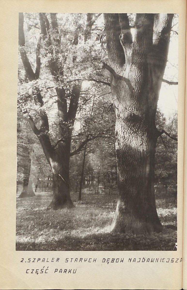 EP - Ewidencja parkowa, skan nr 22