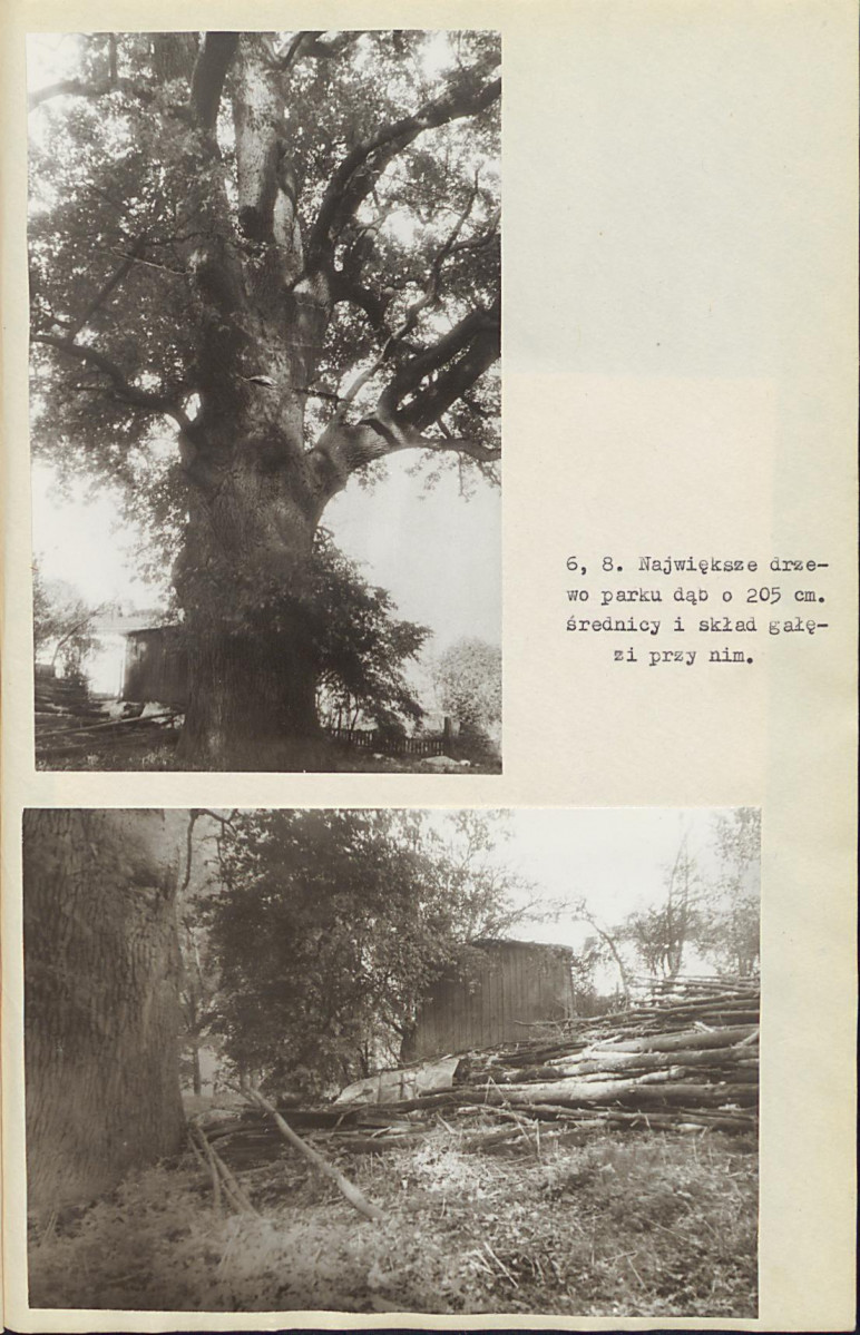 EP - Ewidencja parkowa, skan nr 26