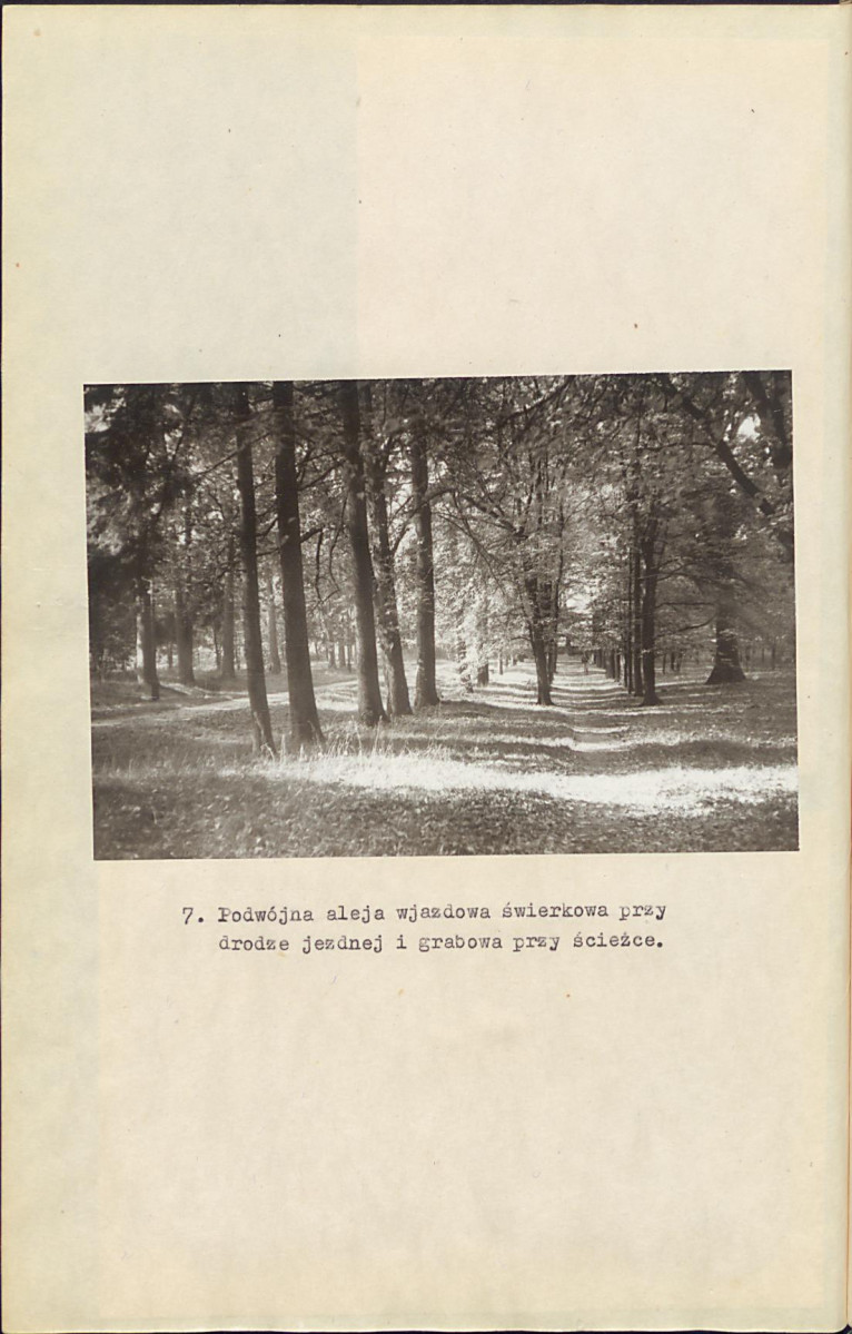 EP - Ewidencja parkowa, skan nr 27