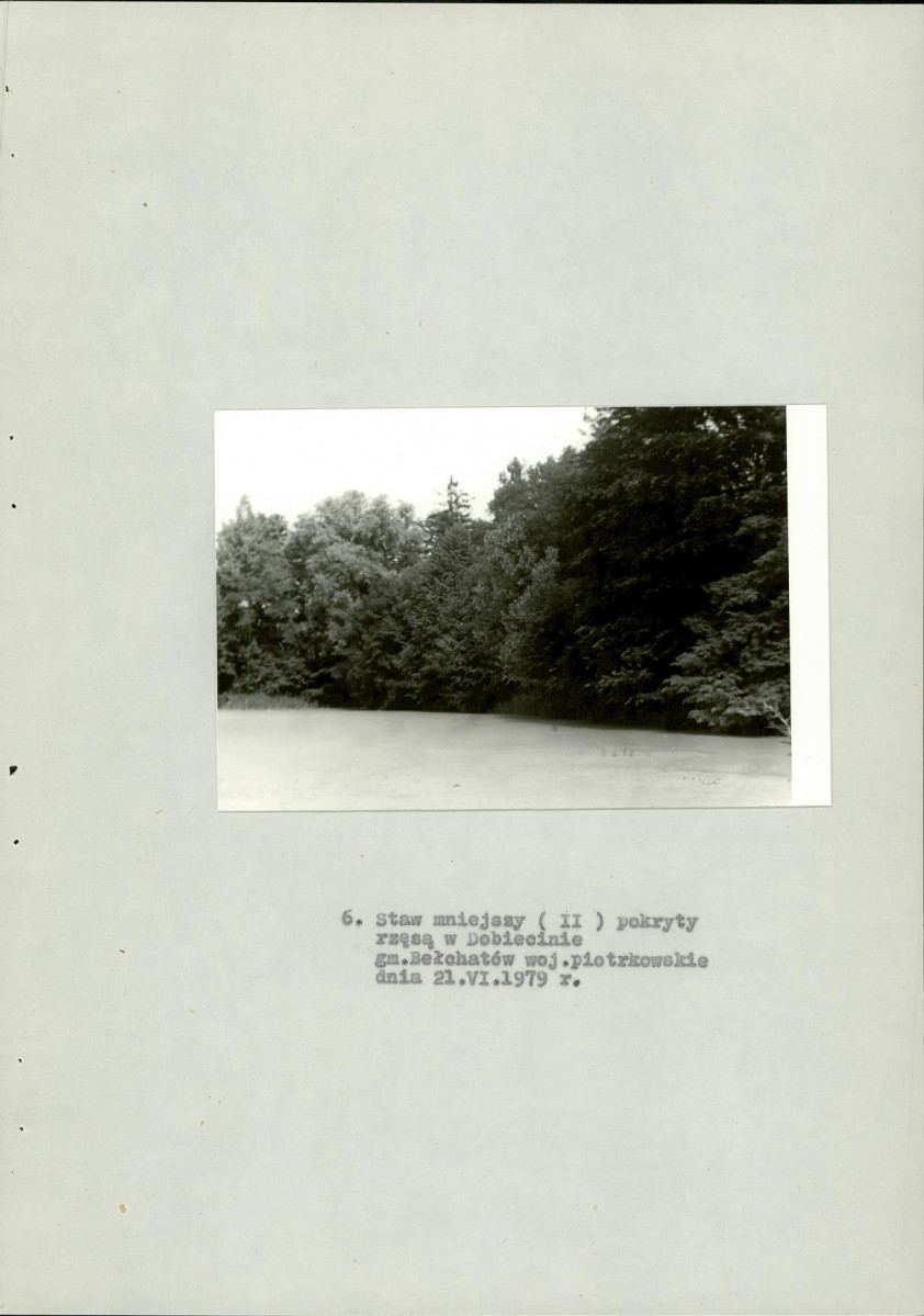 EP - Ewidencja parkowa, skan nr 26