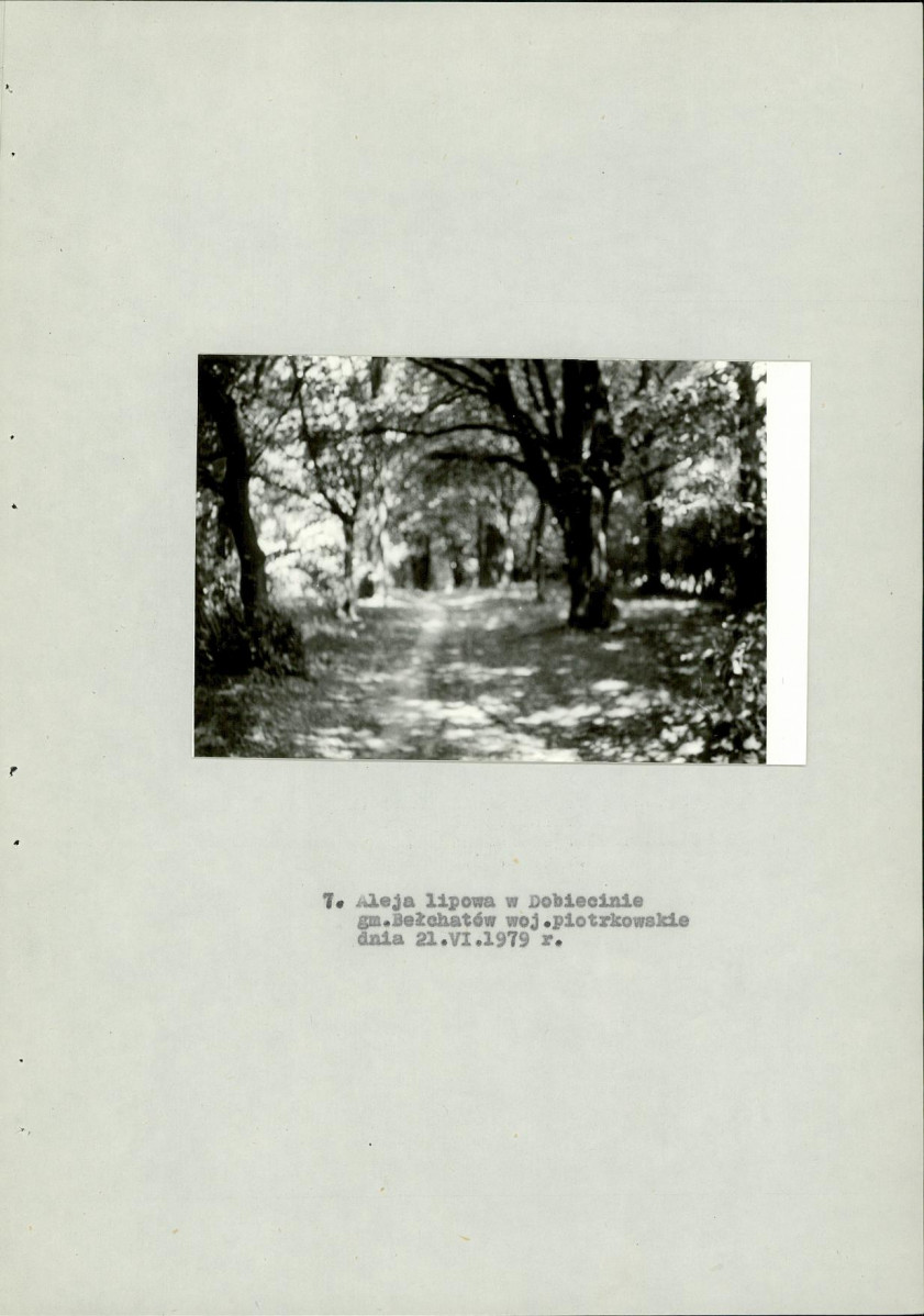 EP - Ewidencja parkowa, skan nr 27