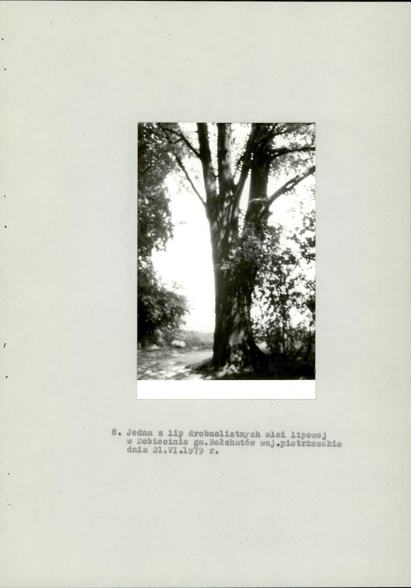 EP - Ewidencja parkowa, skan nr 28