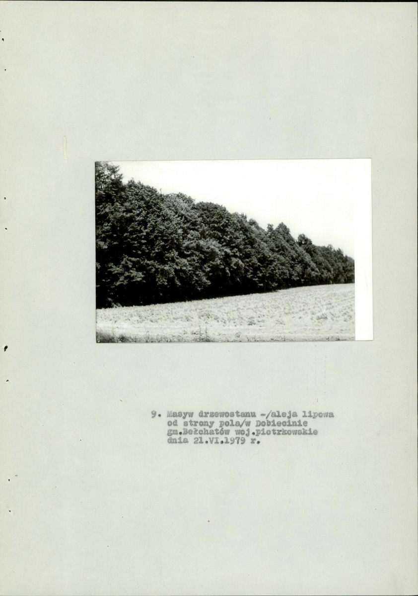 EP - Ewidencja parkowa, skan nr 29