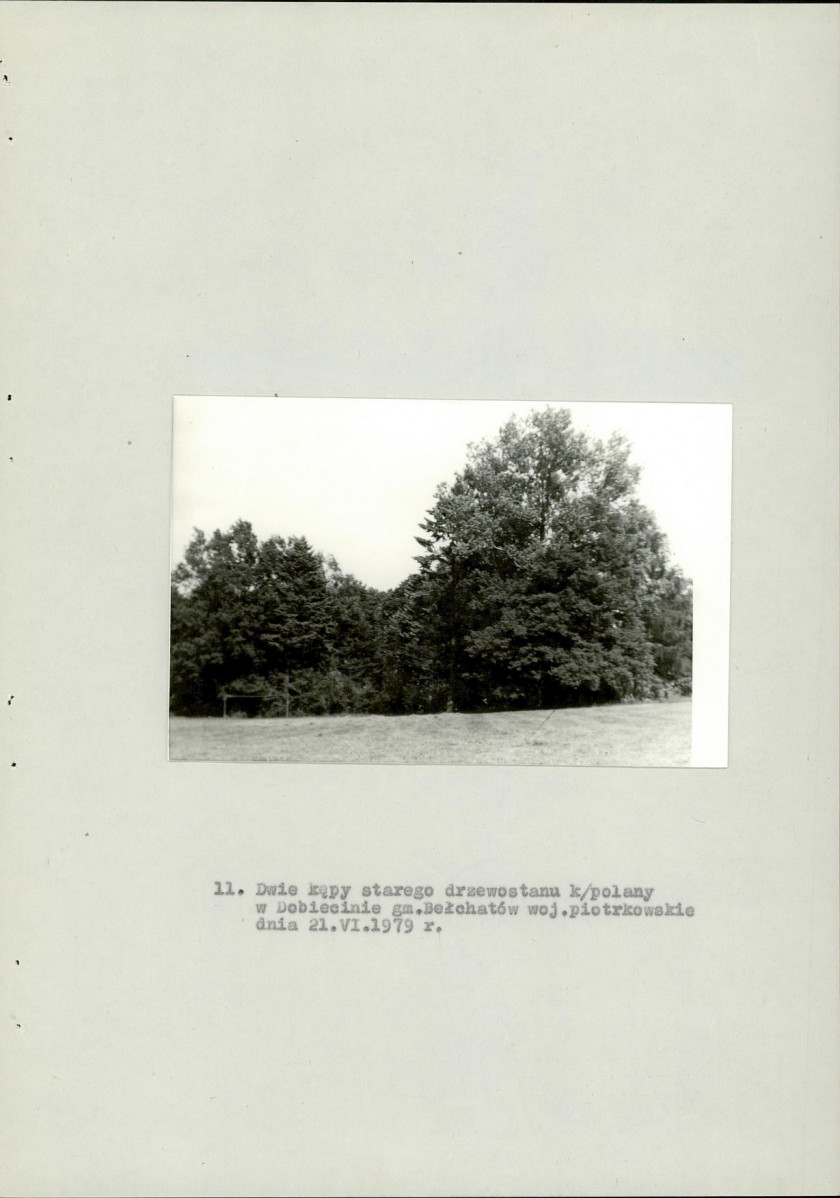 EP - Ewidencja parkowa, skan nr 31