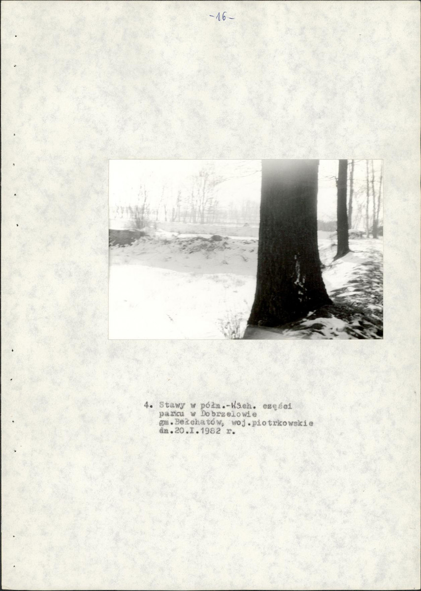 EP - Ewidencja parkowa, skan nr 24