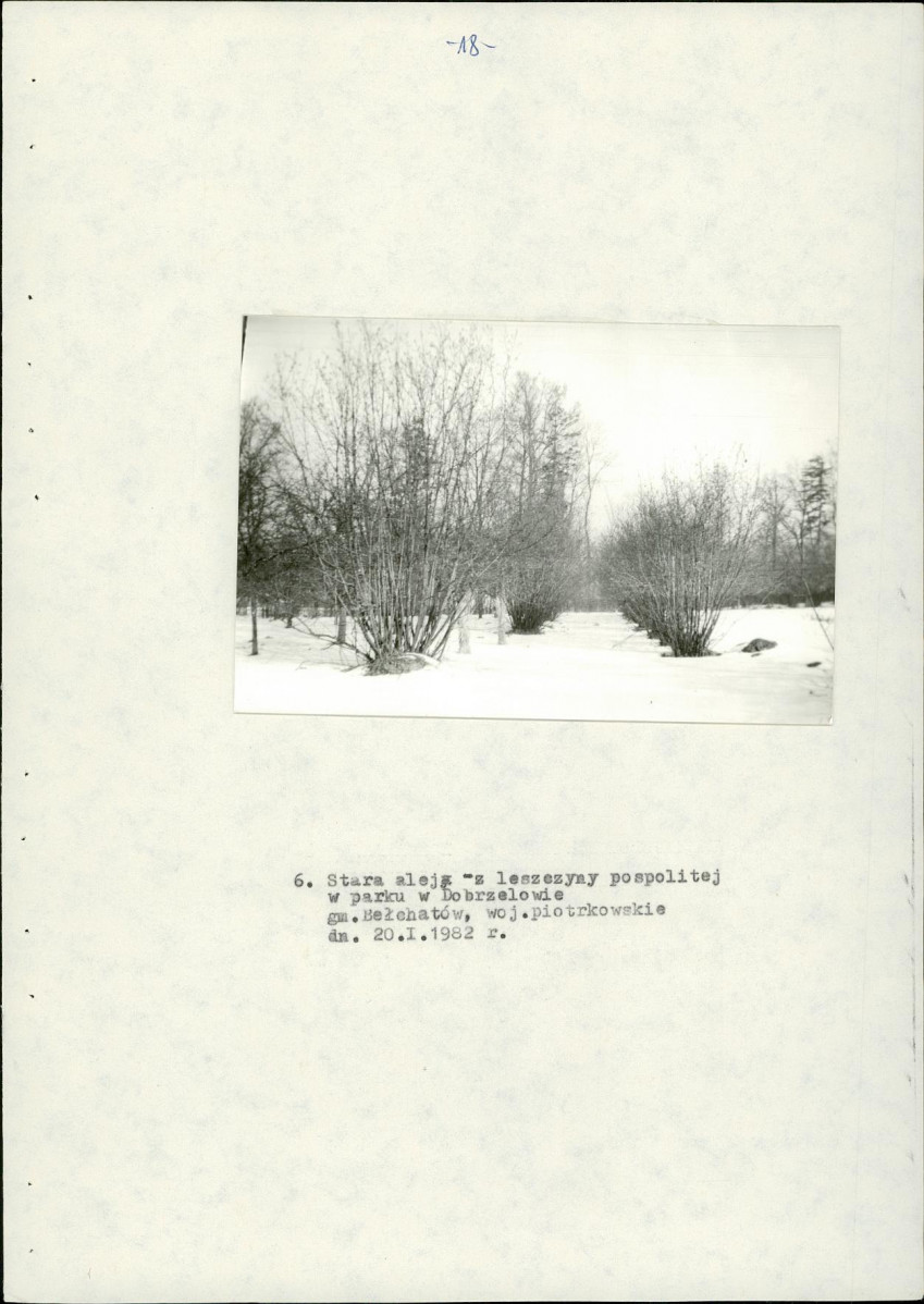 EP - Ewidencja parkowa, skan nr 26