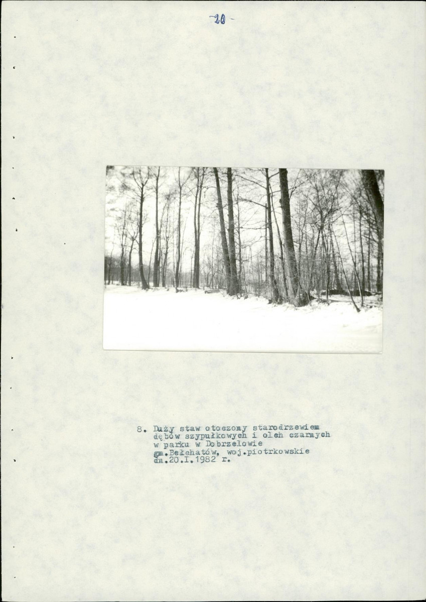 EP - Ewidencja parkowa, skan nr 28