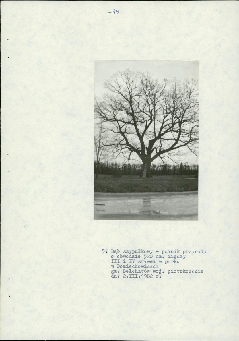 EP - Ewidencja parkowa, skan nr 26
