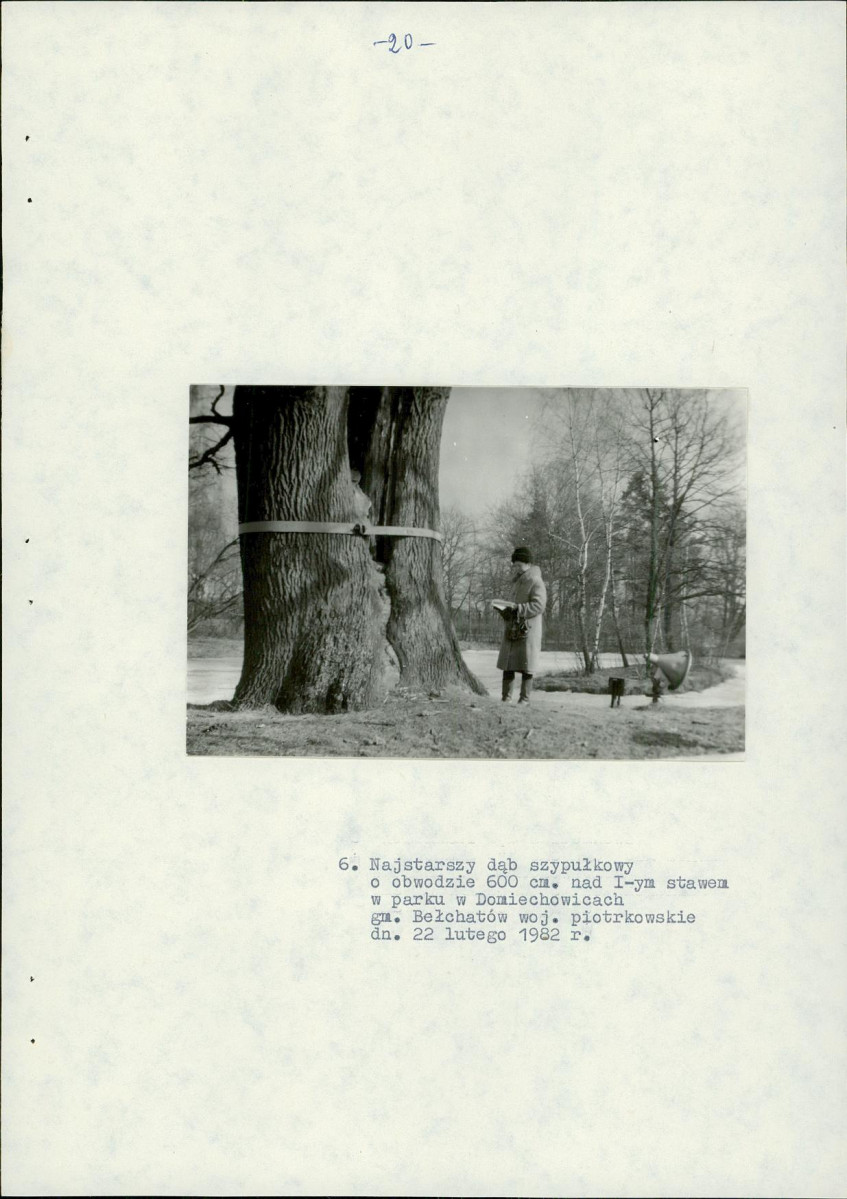 EP - Ewidencja parkowa, skan nr 27