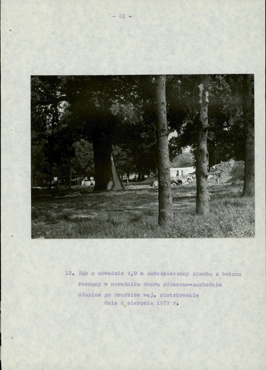 EP - Ewidencja parkowa, skan nr 27