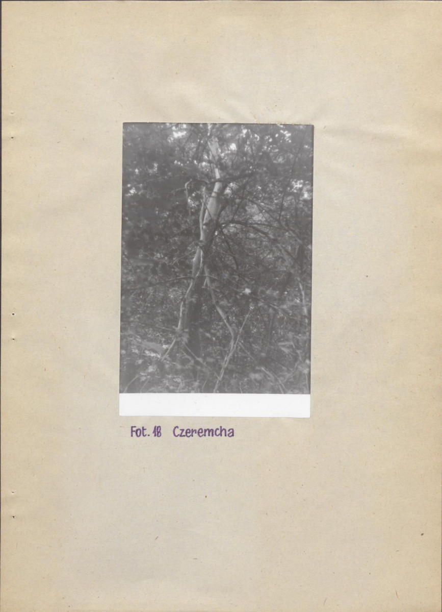 Ewidencja parkowa, skan nr 25