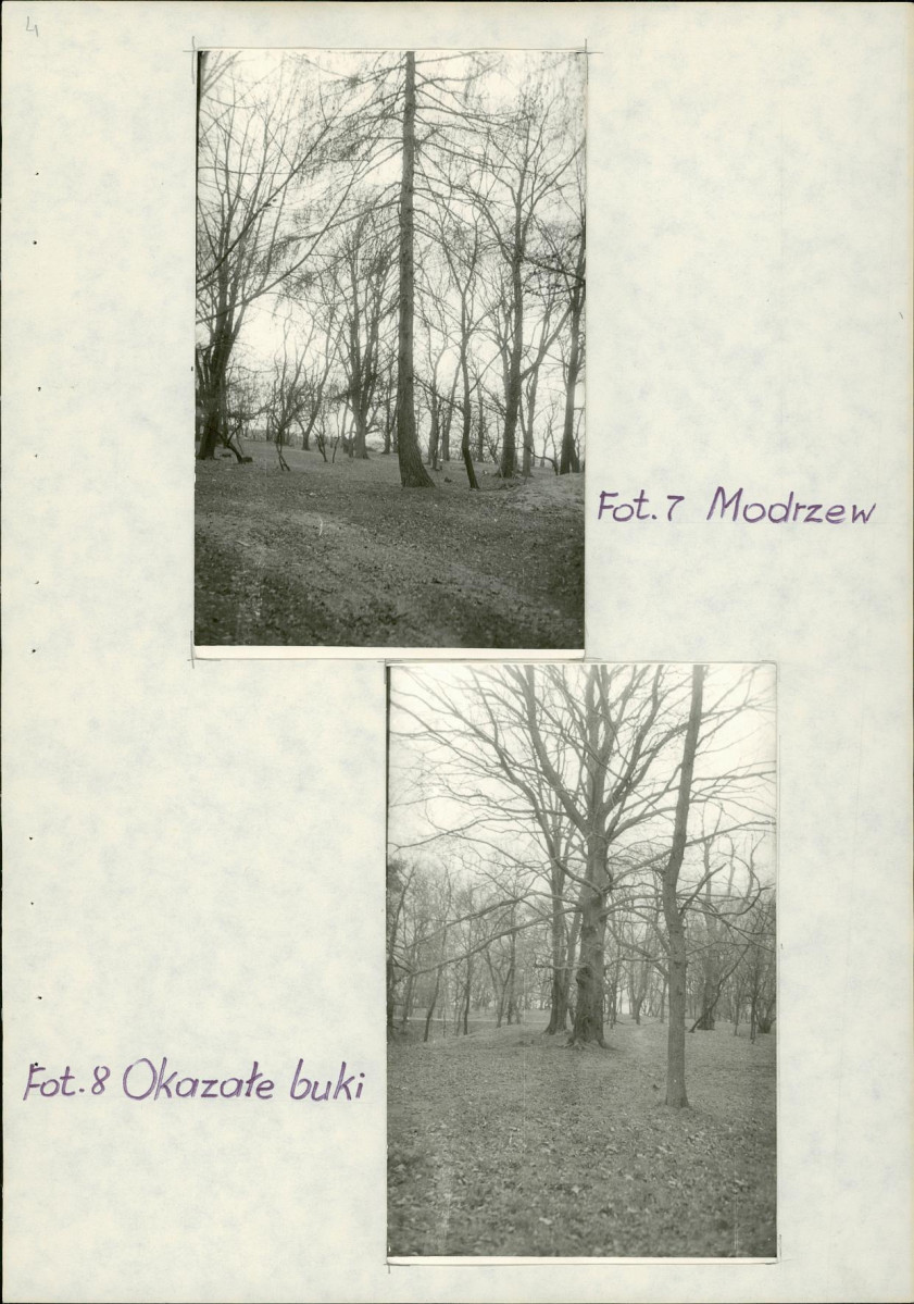 EP - Ewidencja parkowa, skan nr 16