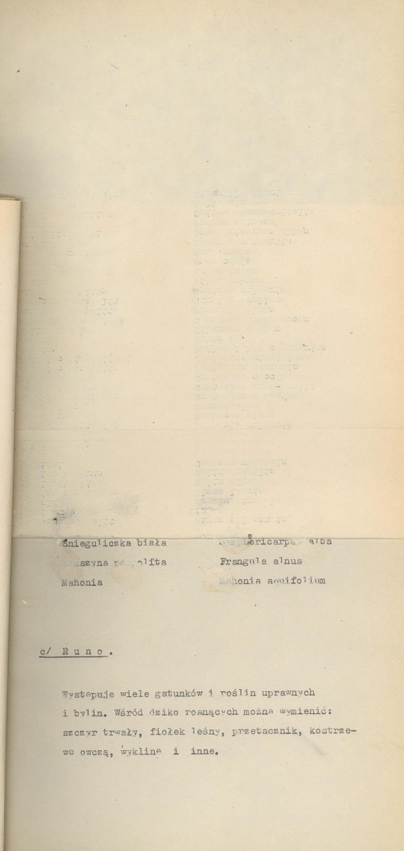 Ewidencja parkowa, skan nr 12