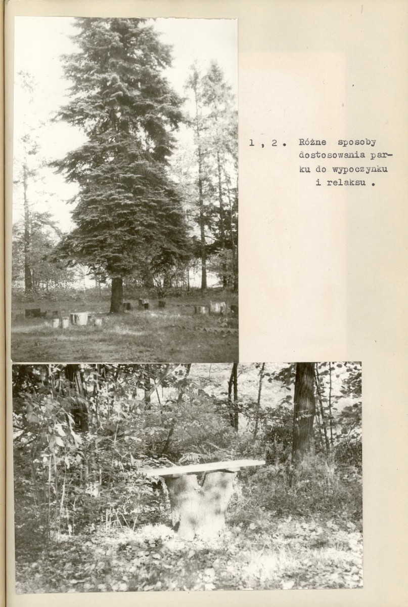 Ewidencja parkowa, skan nr 19