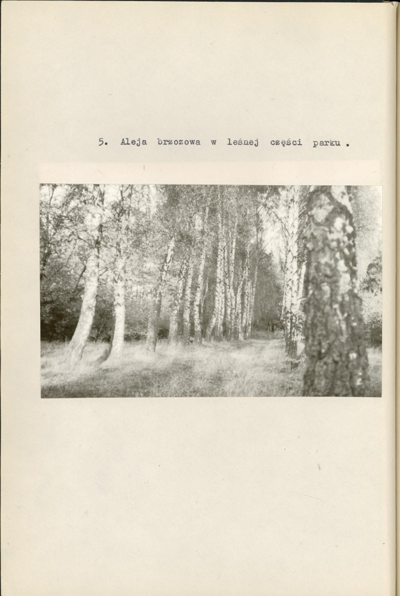 Ewidencja parkowa, skan nr 22