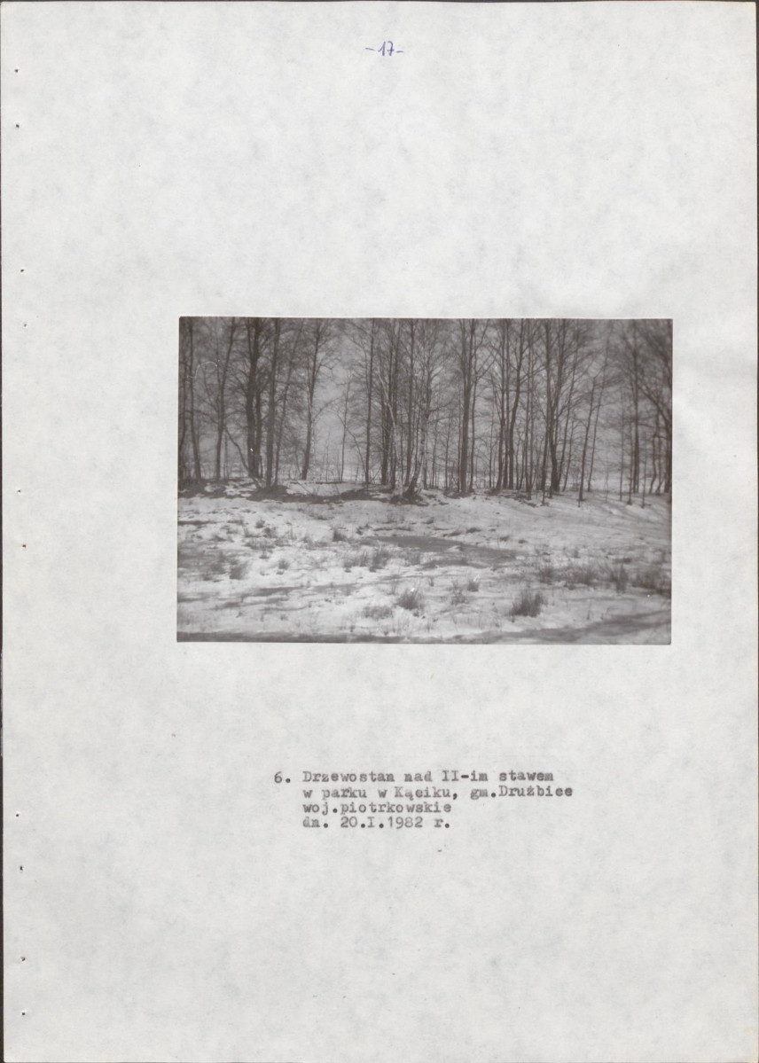 EP - Ewidencja parkowa, skan nr 22