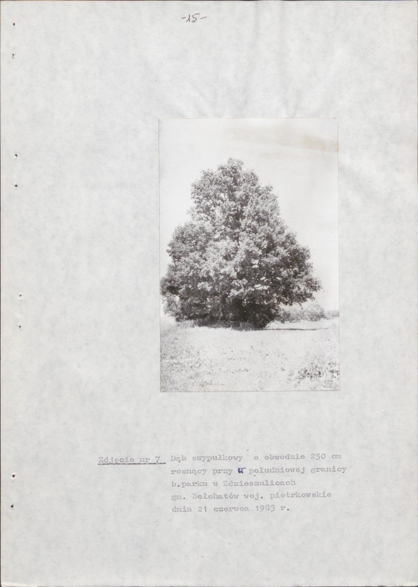EP - Ewidencja parkowa, skan nr 20