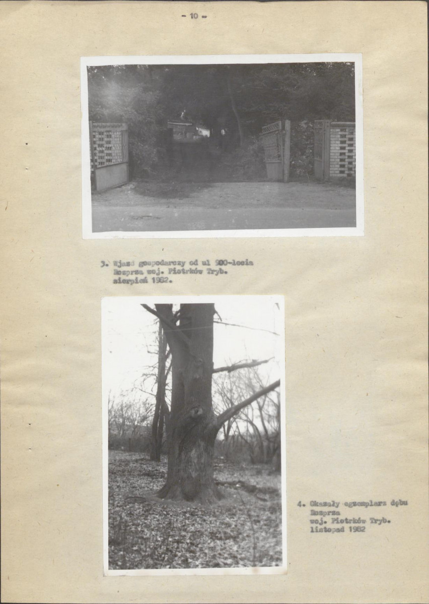 Ewidencja parkowa, skan nr 20