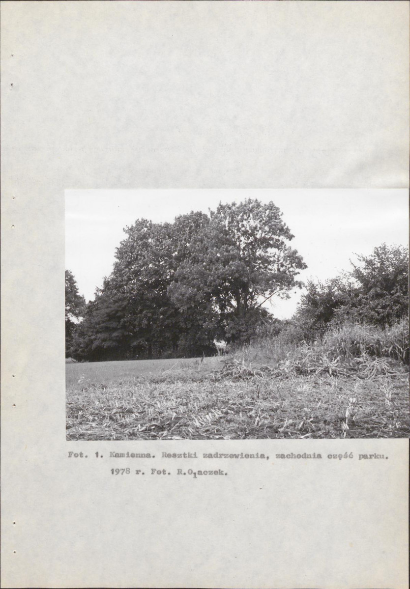 EP - Ewidencja parkowa, skan nr 10