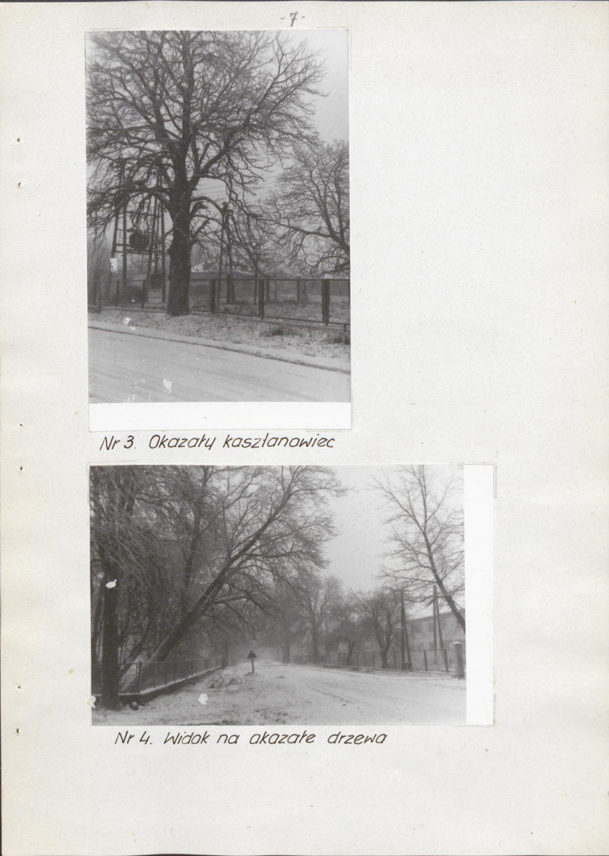 Ewidencja parkowa, skan nr 12