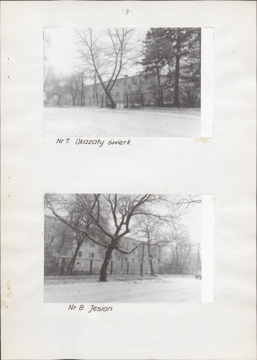 Ewidencja parkowa, skan nr 14