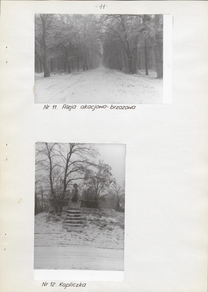 Ewidencja parkowa, skan nr 16