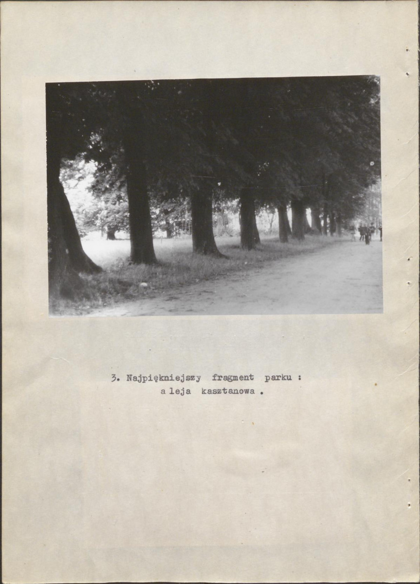 Ewidencja parkowa, skan nr 19
