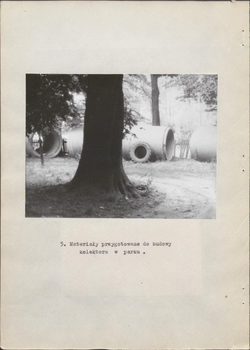 Ewidencja parkowa, skan nr 21