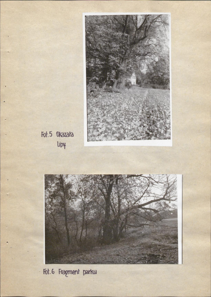 Ewidencja parkowa, skan nr 17