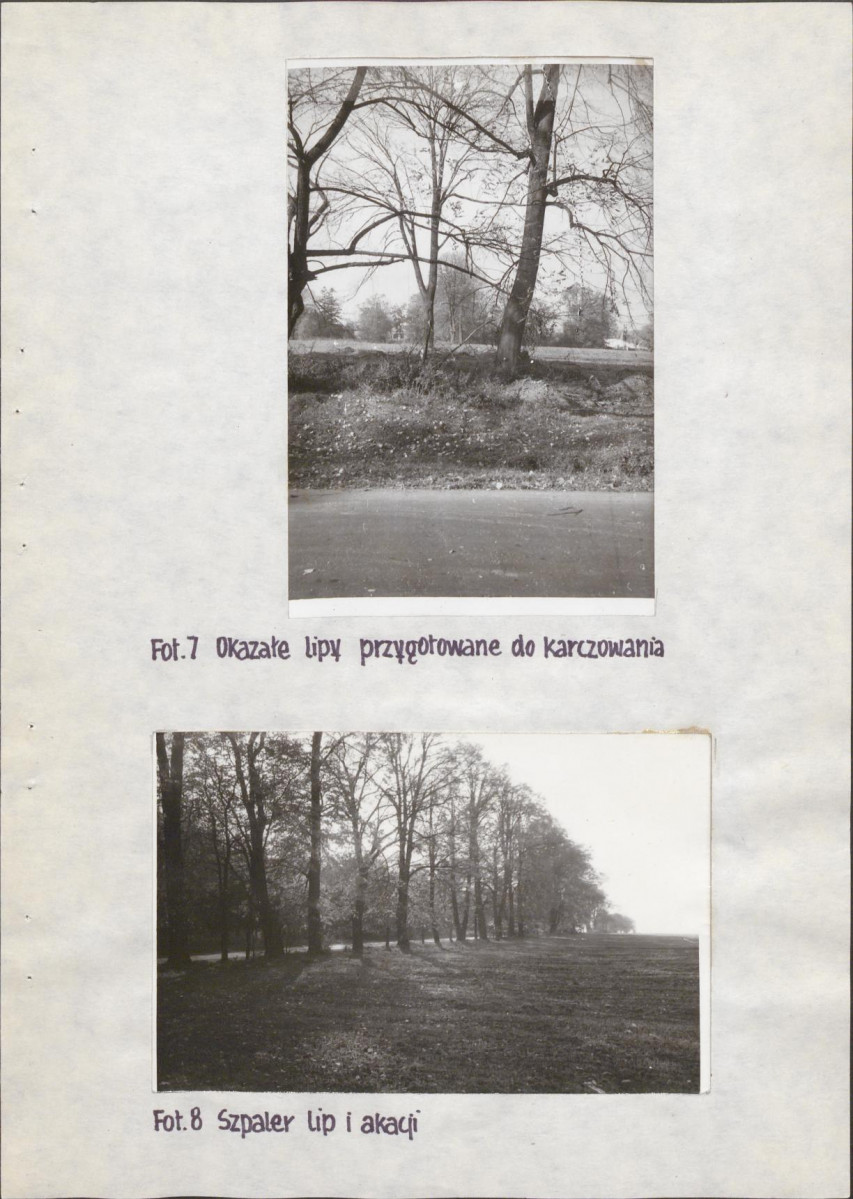 Ewidencja parkowa, skan nr 18