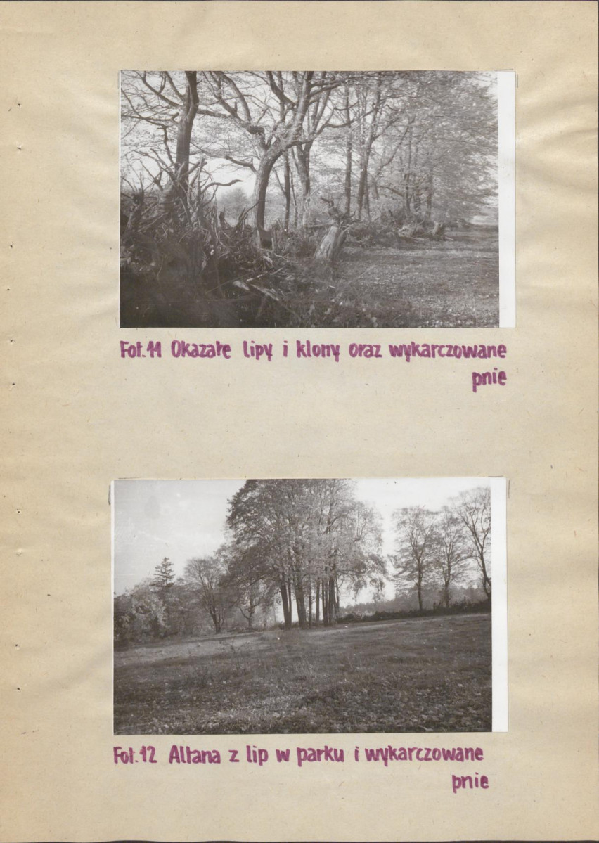 Ewidencja parkowa, skan nr 20