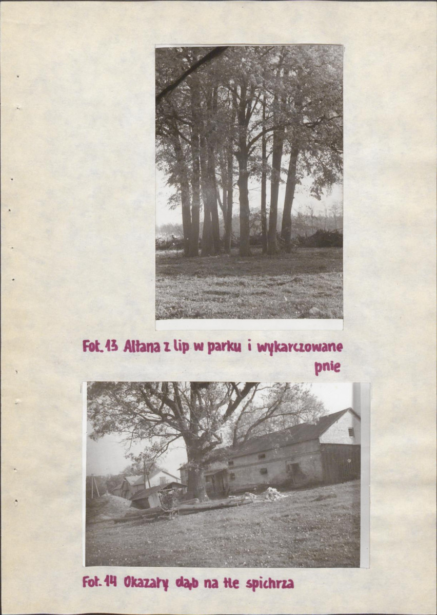 Ewidencja parkowa, skan nr 21