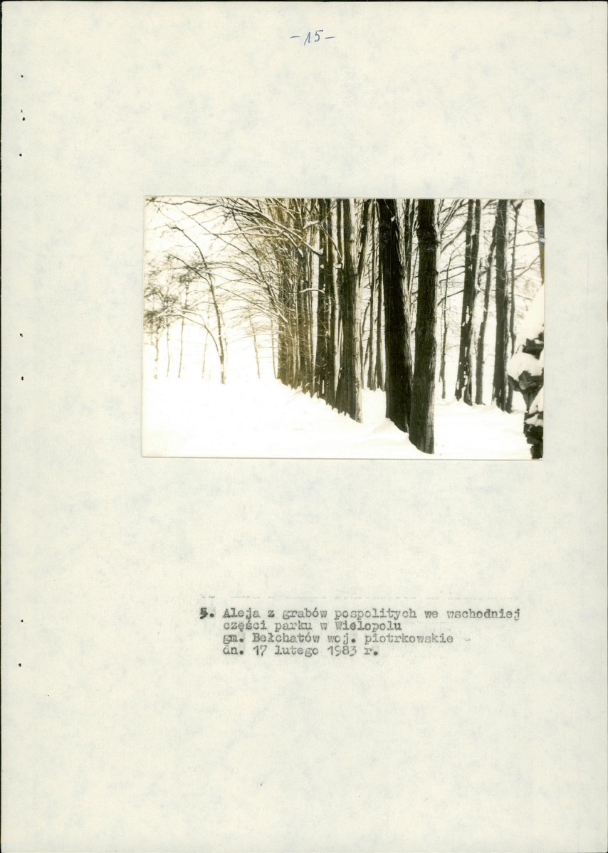 EP - Ewidencja parkowa, skan nr 23