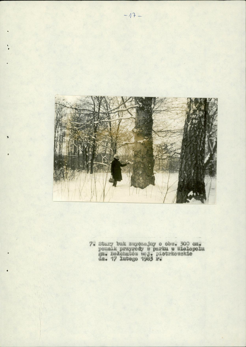 EP - Ewidencja parkowa, skan nr 25